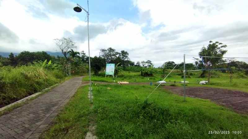 dijual tanah ngadisono sumbersuko