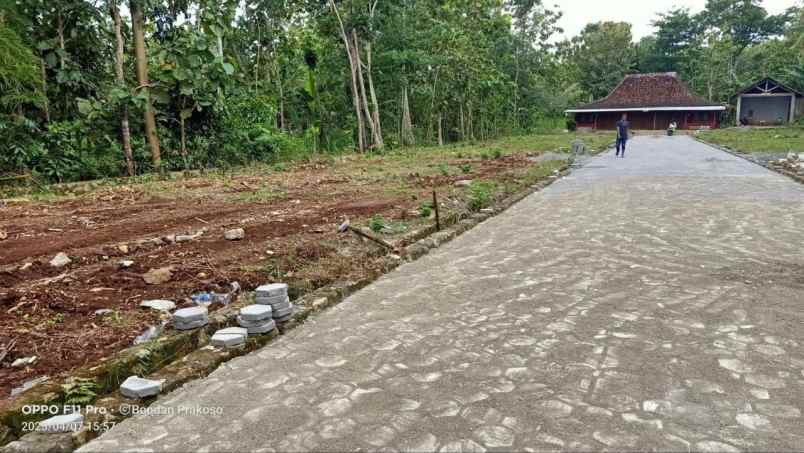 dijual tanah ngunut playen gunung kidul