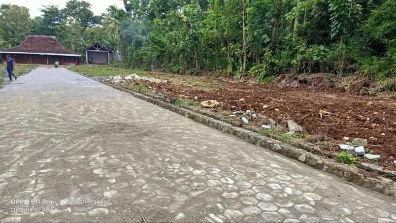 dijual tanah ngunut playen gunung kidul