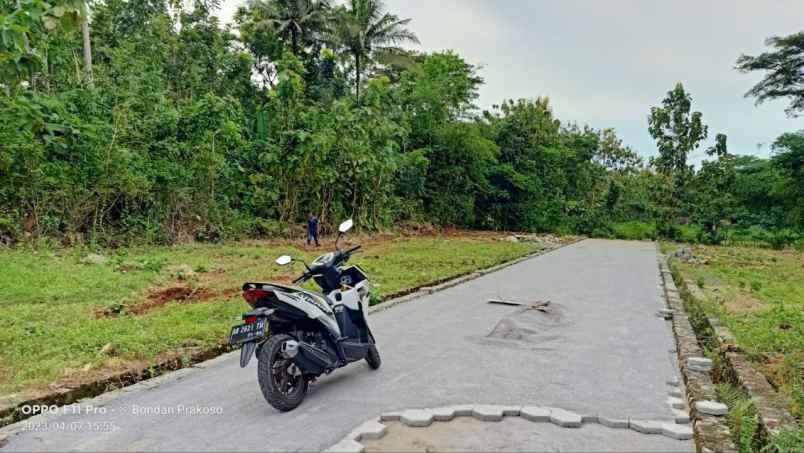 dijual tanah ngunut playen gunung kidul