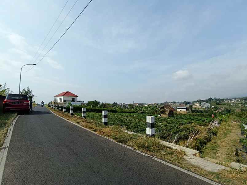 dijual tanah pandanrejo