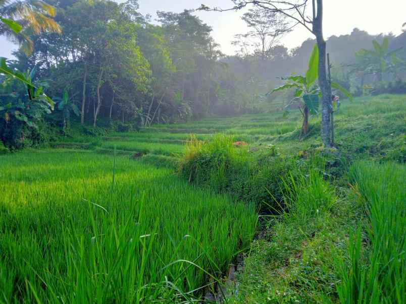 dijual tanah pondok salam