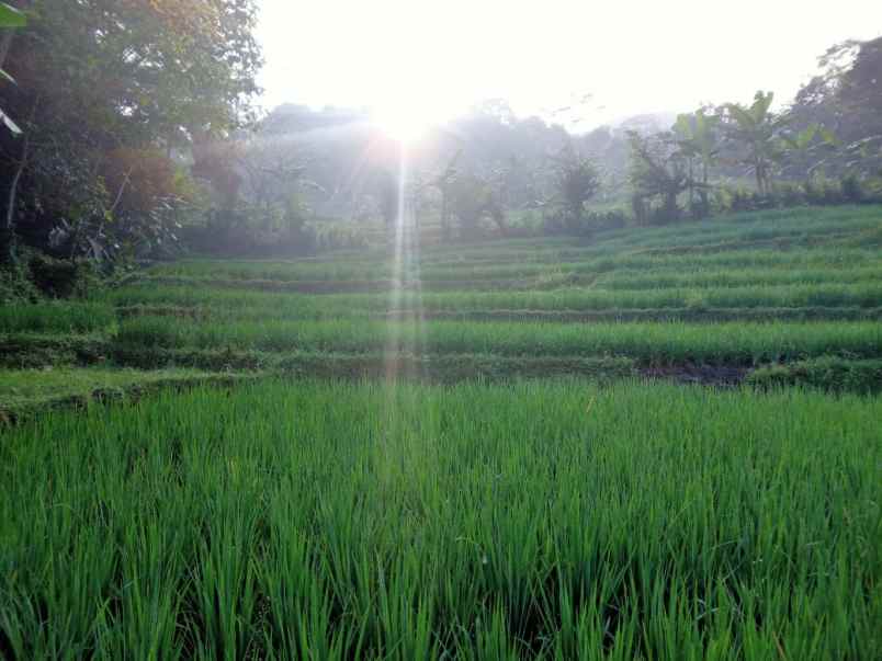 dijual tanah pondok salam