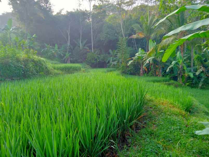 dijual tanah pondok salam