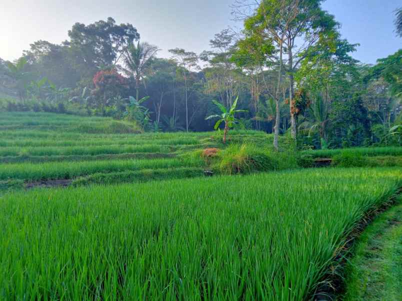 dijual tanah pondok salam