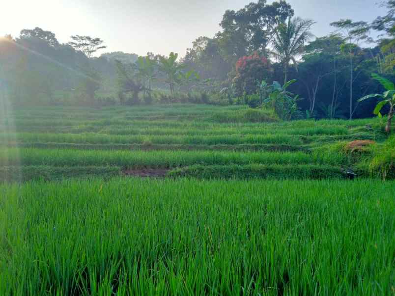 dijual tanah pondok salam