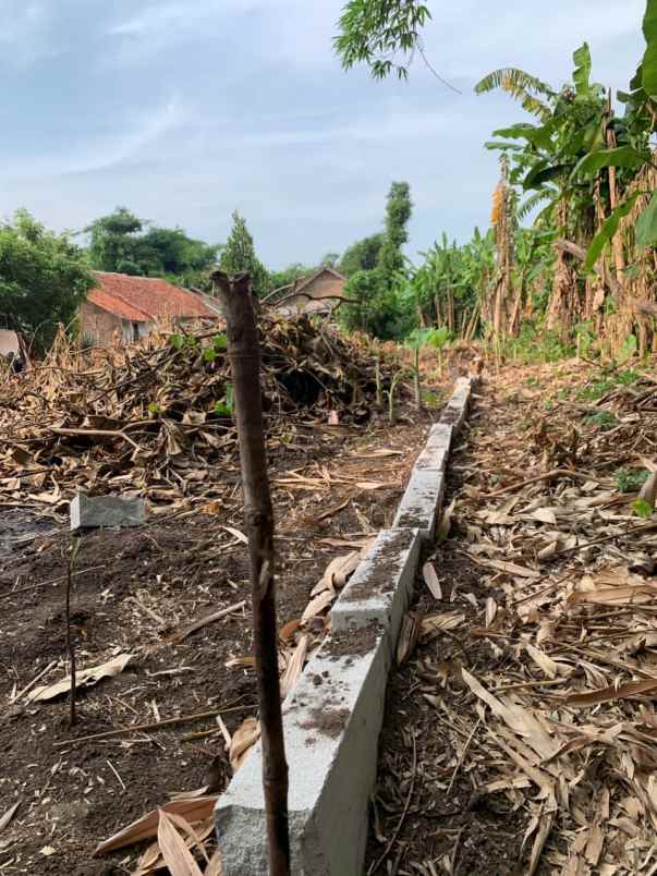 dijual tanah pribadi daerah pasalakan