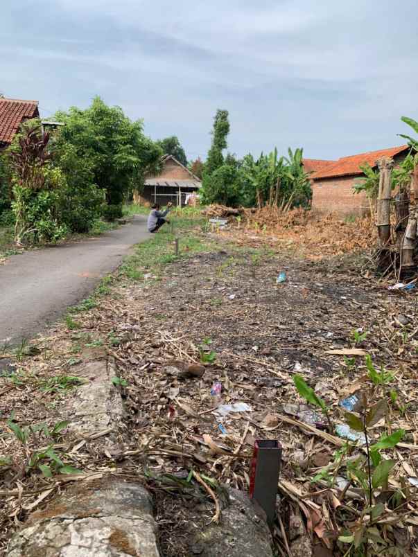 dijual tanah pribadi daerah pasalakan
