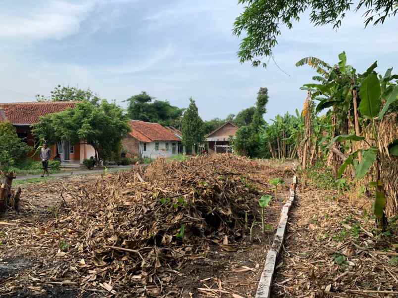 dijual tanah pribadi daerah pasalakan