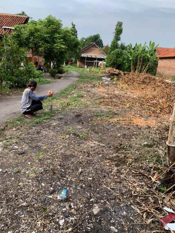 dijual tanah pribadi daerah pasalakan