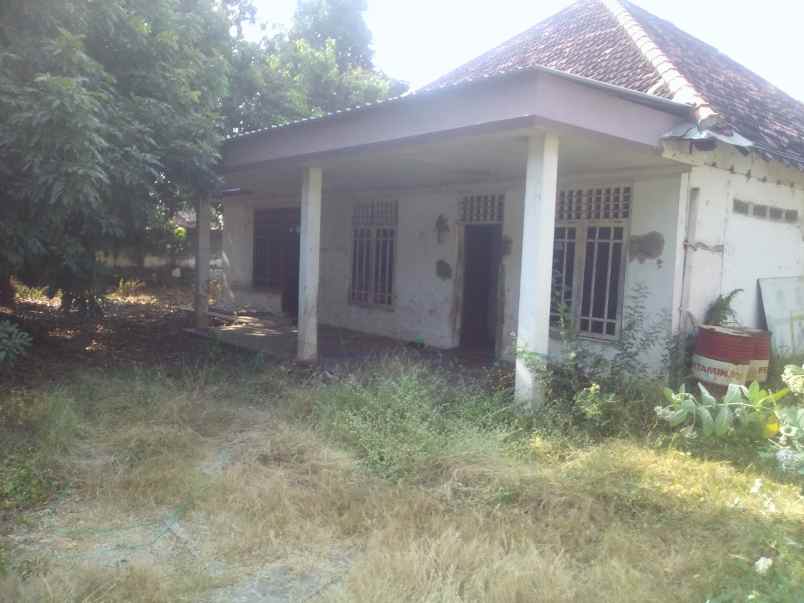 dijual tanah raya panglima sudirman