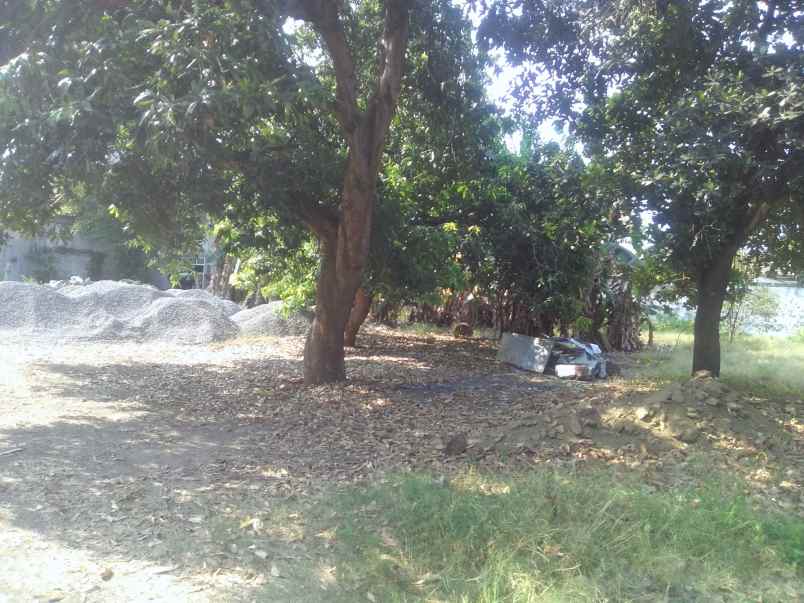 dijual tanah raya panglima sudirman