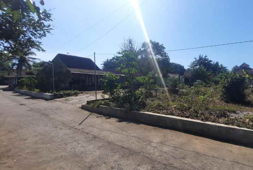 dijual tanah rejosari sardonoharjo kec