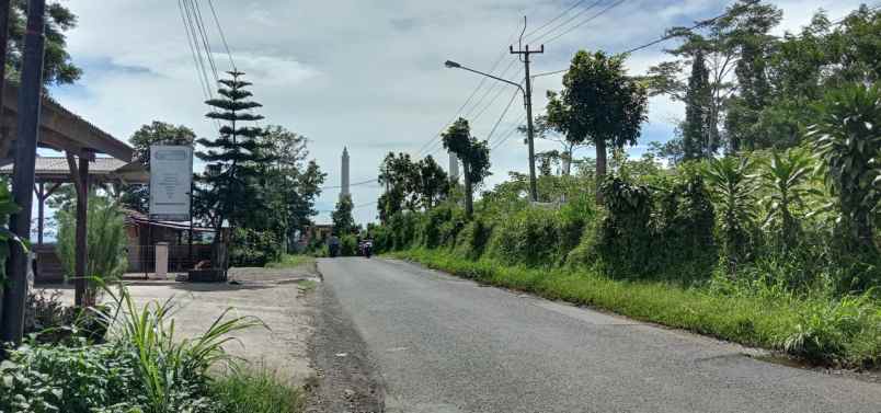 dijual tanah sawit