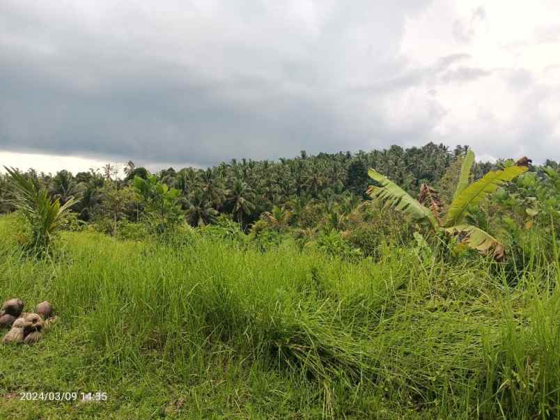 dijual tanah selemadeg tabanan bali