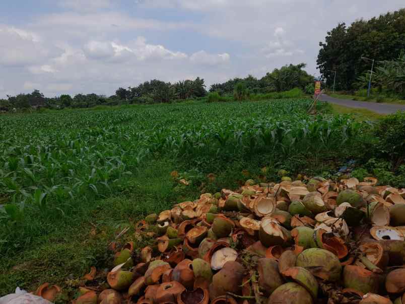 dijual tanah siap bangun areagrogol kediri