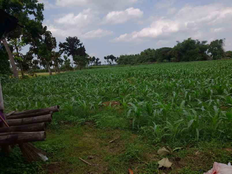 dijual tanah siap bangun areagrogol kediri