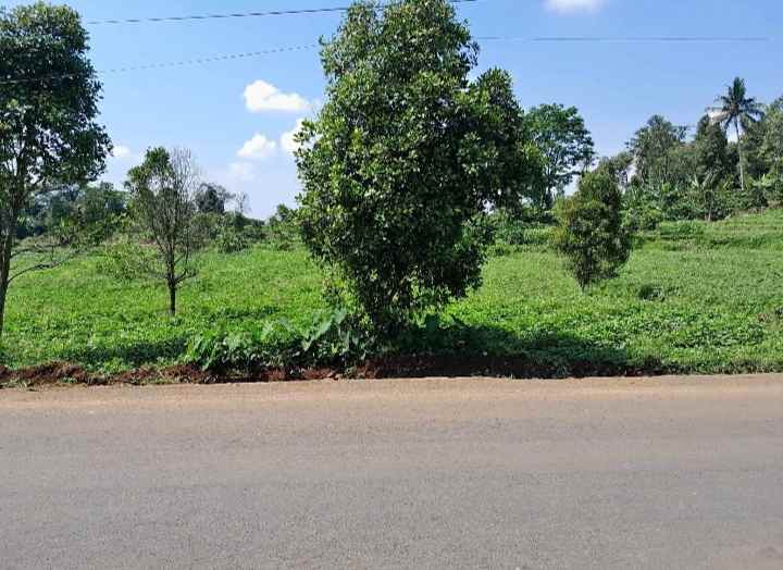 dijual tanah strategis pinggir jalan raya propinsi