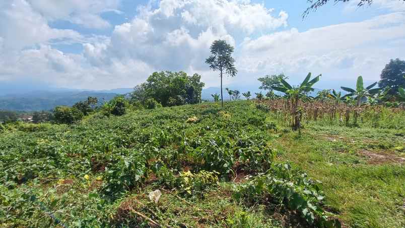 dijual tanah sumedang selatan