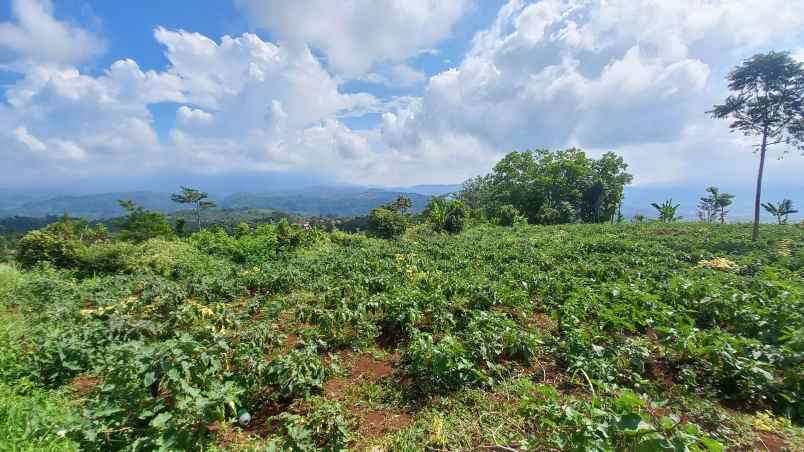 dijual tanah sumedang selatan