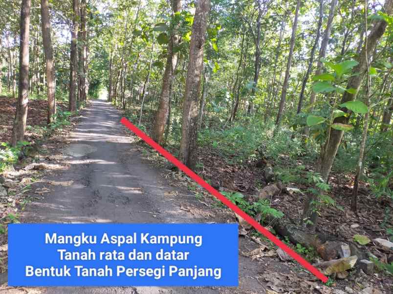 dijual tanah wonosari