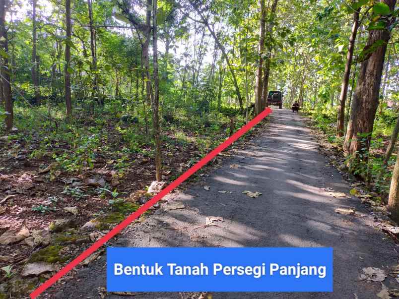 dijual tanah wonosari