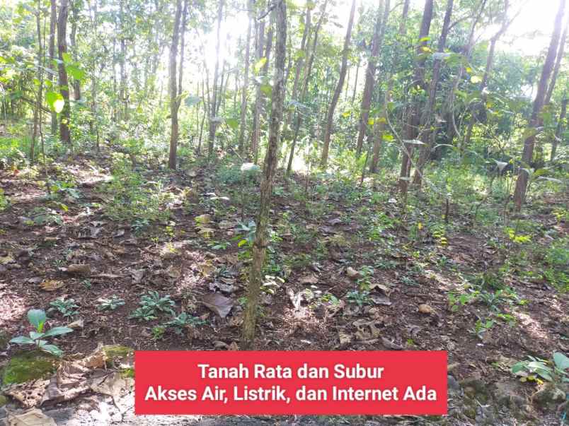 dijual tanah wonosari