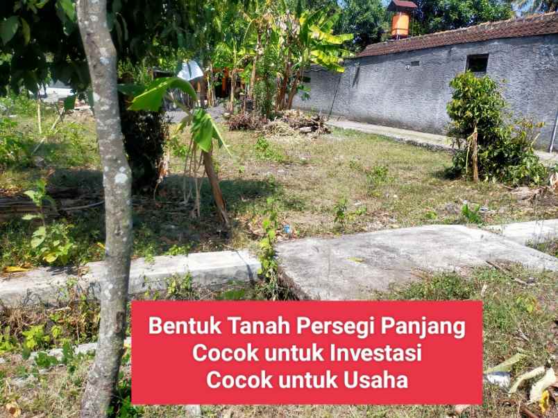 dijual tanah wonosari