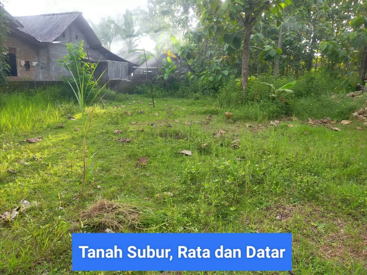 dijual tanah wonosari