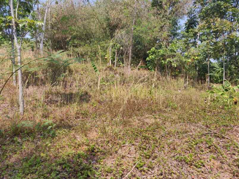 dijual warung kiara arah sukabumi