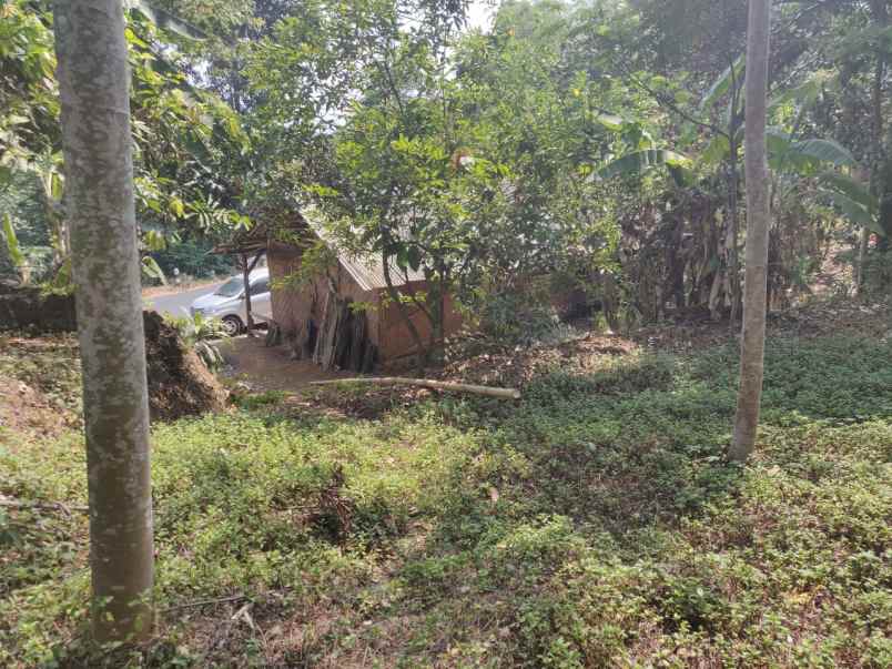 dijual warung kiara arah sukabumi