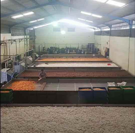 disewakan gudang di mojosari