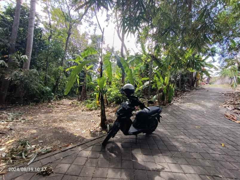 disewakan tanah muding kerobokan bali