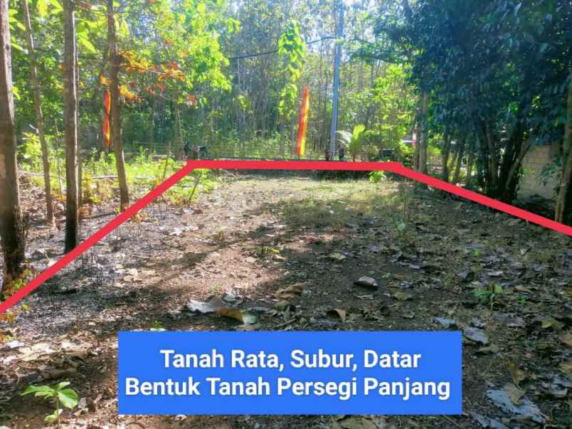 edisi murah meriah tanah dekat fasilitas umum dan kota