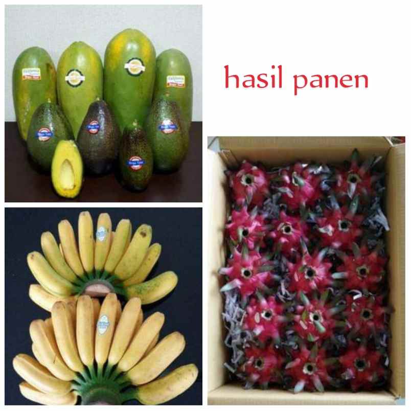 for sale kebun produktif daerah subang jawa barat