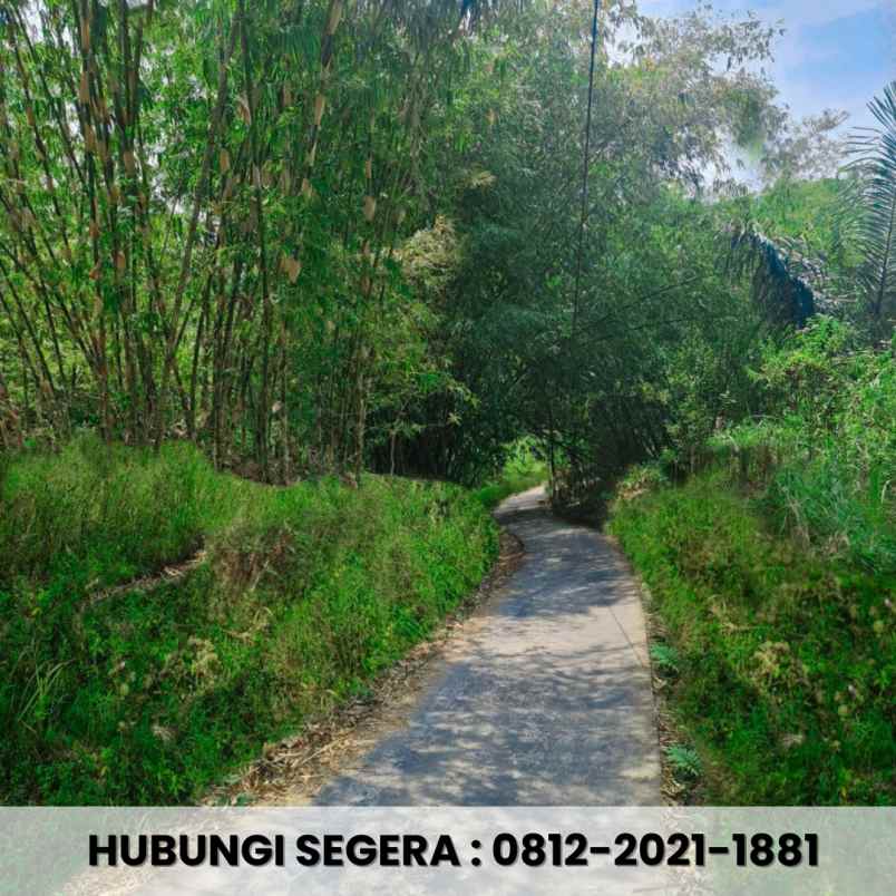 jual tanah cocok untuk kebun dan peternakan di bandung