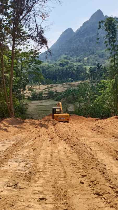 jual tanah kavling di dalam kebun durian ekslusif