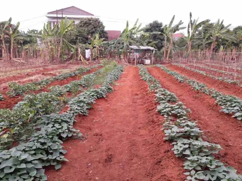 jual tanah kavling siap bangun di islamic village