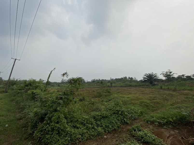 jual tanah kavling termurah di parung panjang