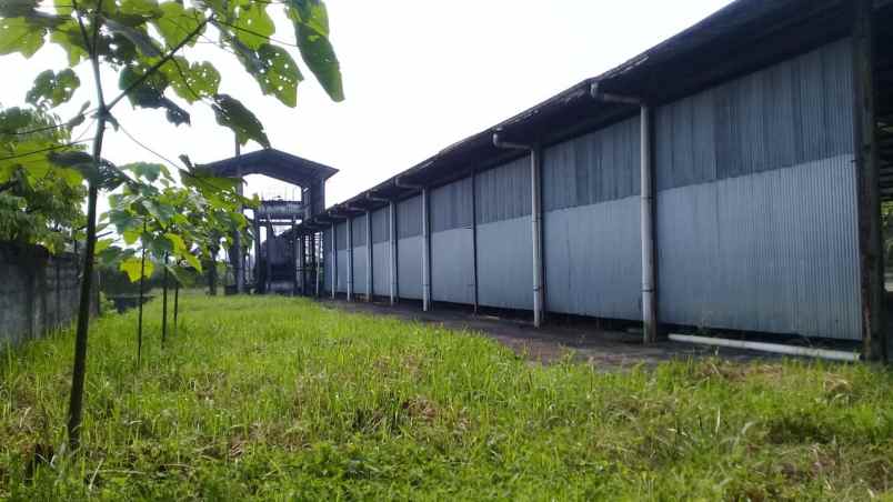 jual tanah murah di daerah sukabumi