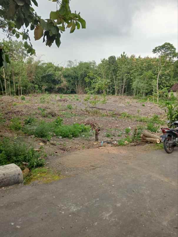 kavling hanya 35 juta di kaliwedi gondang sragen