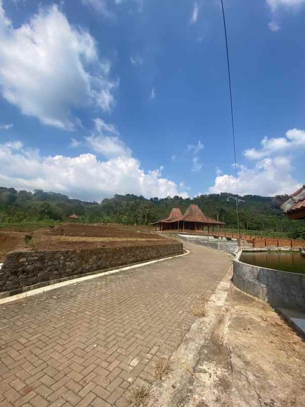lahan ples kasebo cocok buat kf kebun