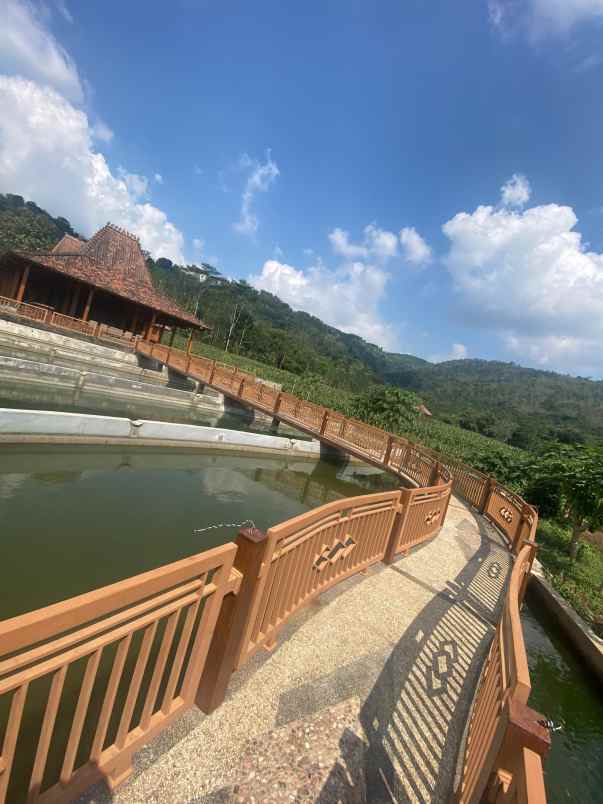 lahan ples kasebo cocok buat kf kebun