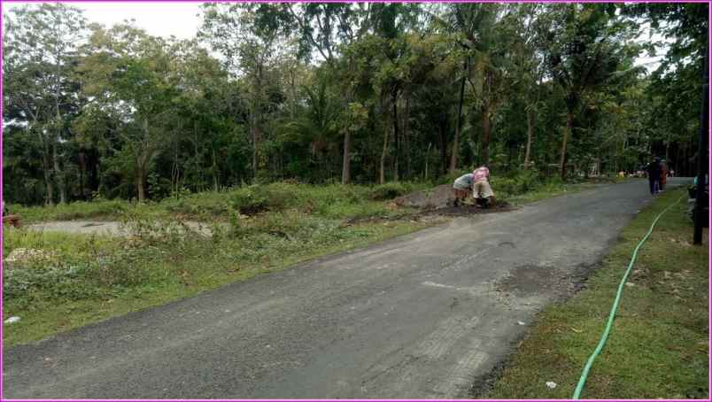 murah 100 jt an tanah panjatan kulon progo