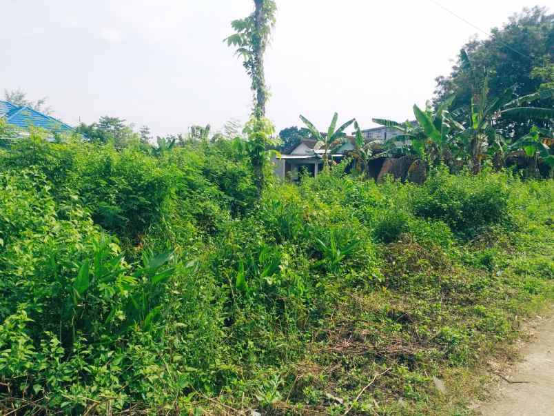 pekarangan 160 m2 kartasura jual cepatt 185 jt