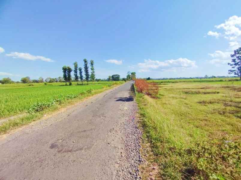 pekarangan siap bangun 204m2 sukoharjo