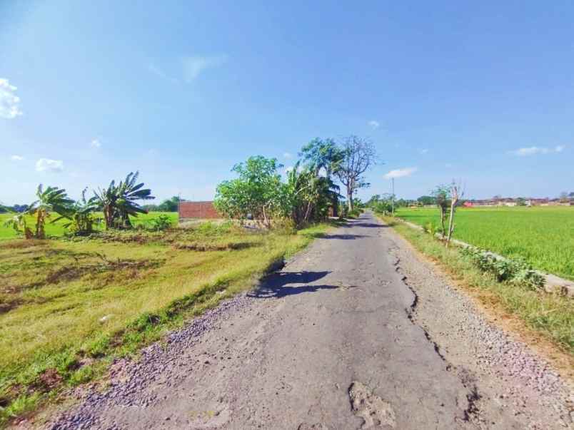 pekarangan siap bangun 204m2 sukoharjo