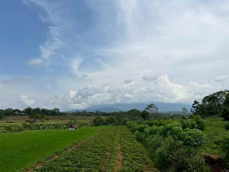 pekarangan strategis tepi jl raya mojogedang