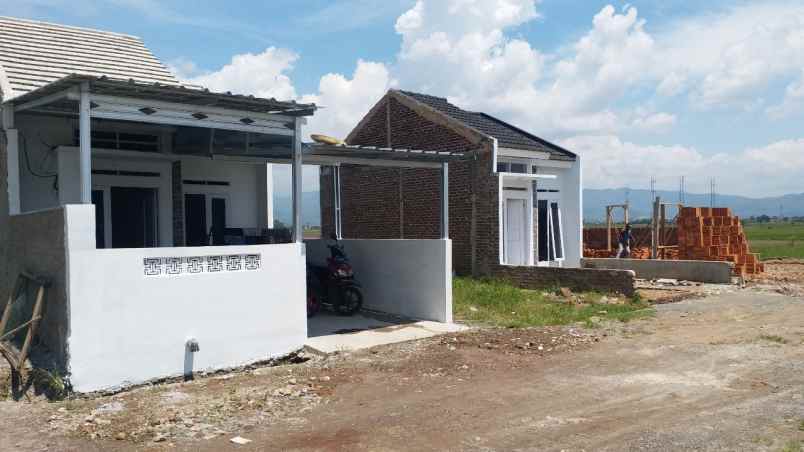 rumah baru 100 jt survey segera