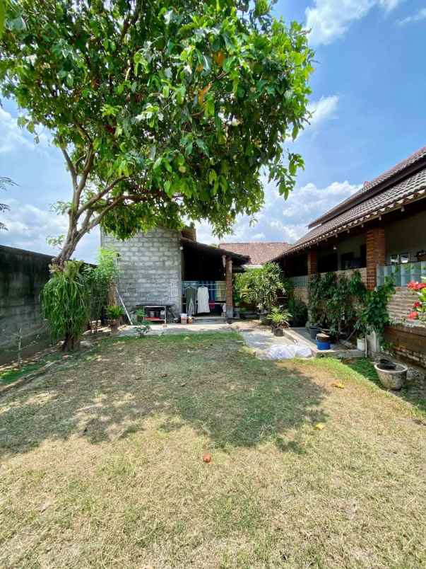 rumah etnik dekat candi sambisari yogyakarta